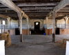 horse ranch in Mecklenburg-Vorpommern