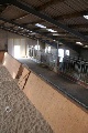 horse ranch, Aurich, Niedersachsen