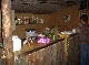 horse ranch, Aurich, Niedersachsen