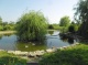 horse ranch, , 